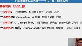 成人英语讲解视频,成人英语讲解视频精华概述