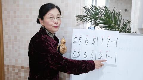 成人葫芦丝入门教学视频