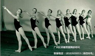 芭蕾视频成人网页版,成人网页版视频教程深度解析