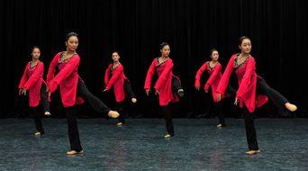 成人好学古典舞视频,跟随视频教程，开启成人舞蹈学习之旅