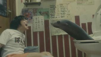 投胎成人案例视频,真实案例视频背后的震撼故事