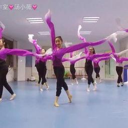 中国成人集体舞舞蹈视频,中国成人集体舞风采展示