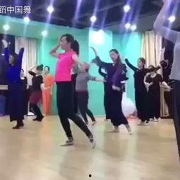 中国成人集体舞舞蹈视频,中国成人集体舞风采展示