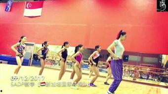 成人欢快律动舞蹈视频,欢快舞蹈视频赏析