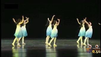 成人欢快律动舞蹈视频,欢快舞蹈视频赏析