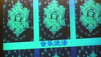 蝴蝶变成人了视频播放,蝴蝶人奇幻之旅