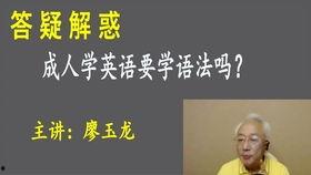 成人训练视频教程全集,全面解析与实战技巧