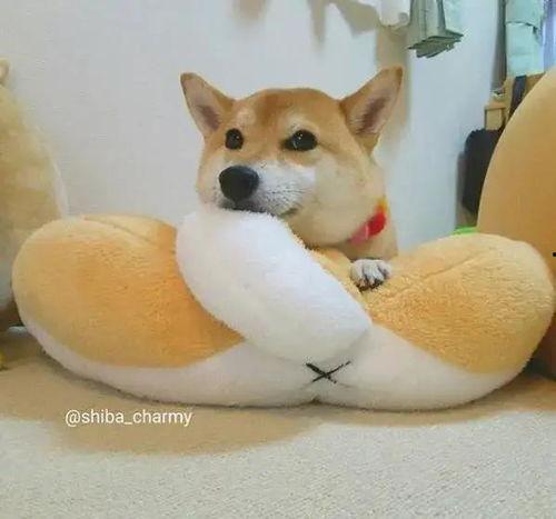 巨型狗窝成人双人视频大全,巨型狗窝双人视频精选集 第3张 巨型狗窝成人双人视频大全,巨型狗窝双人视频精选集 第3张