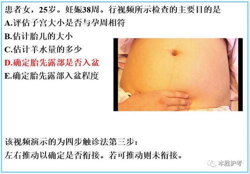 成人害怕扎针吗视频讲解,揭秘成人对扎针恐惧的深层原因