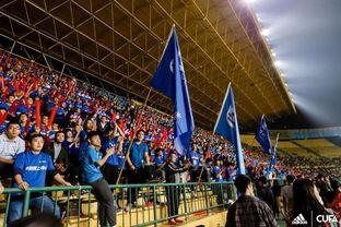 足球转场视频成人礼  第1张