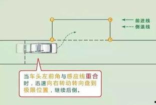 成人排气操教程图解视频,轻松掌握健康呼吸之道