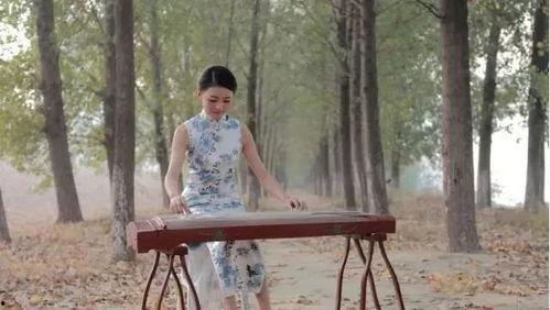 成人古筝唯美视频欣赏