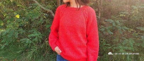 成人针织视频  第1张