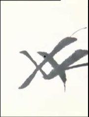 成人练字片段视频