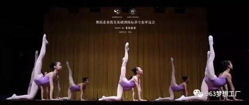 适合七一的成人舞蹈视频,成人舞蹈视频盛宴  第2张